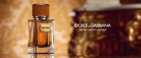 dolce gabbana exotic leather|velvet exotic leather dolce gabbana.